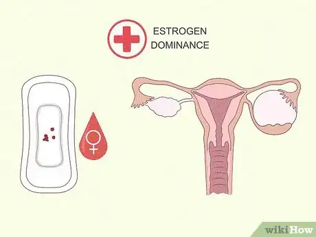 Imagen titulada Increase Estrogen Step 2