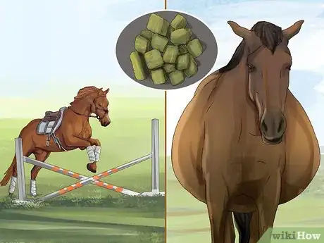 Imagen titulada Feed Your Horse Alfalfa Cubes Step 6