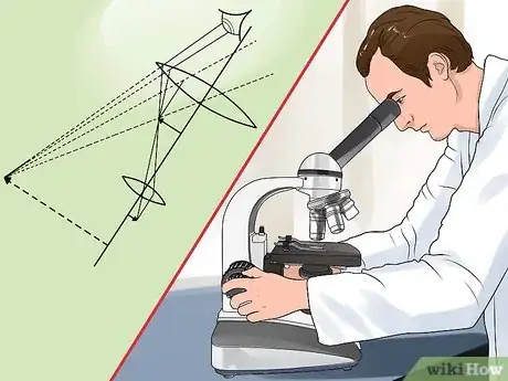 Imagen titulada Use a Compound Microscope Step 11