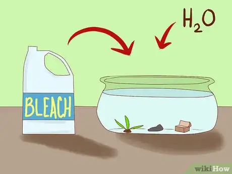 Imagen titulada Get Rid of Snails in Aquarium Step 9