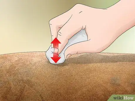 Imagen titulada Remove Perfume Stains from Fabric Step 15