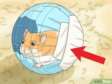 Imagen titulada Let Your Hamster Run in a Hamster Ball Step 2