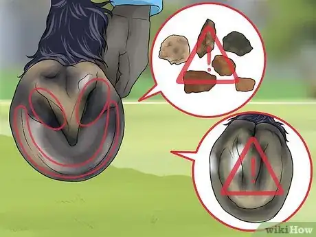 Imagen titulada Pick a Horse Hoof Step 10