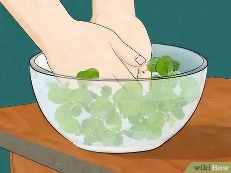 Imagen titulada Grow Watercress Step 10