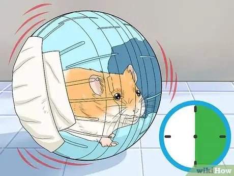 Imagen titulada Let Your Hamster Run in a Hamster Ball Step 4