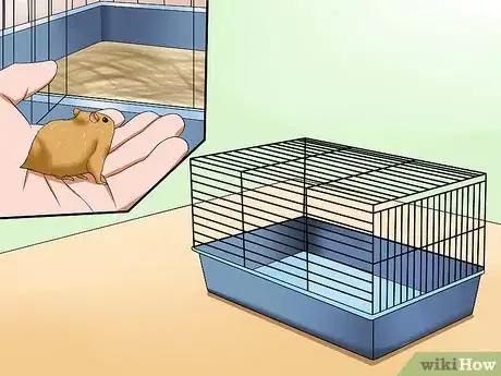 Imagen titulada Take Care of a Found Injured Hamster Step 8