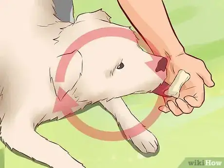 Imagen titulada Discourage a Dog From Biting Step 12