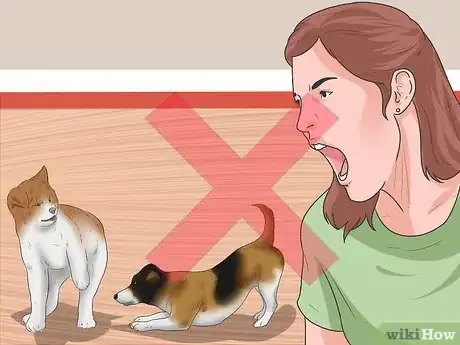 Imagen titulada Get Your Two Dogs to Stop Fighting Step 1