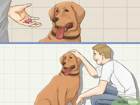 Imagen titulada Bathe a Dog in a Shower Step 18