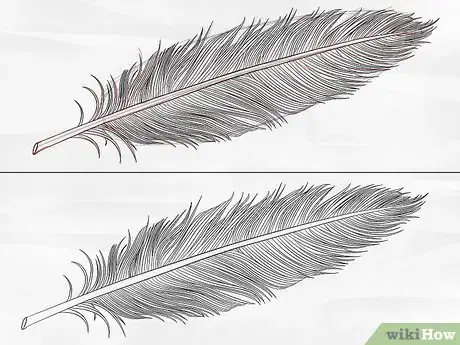 Imagen titulada Draw a Feather Step 3