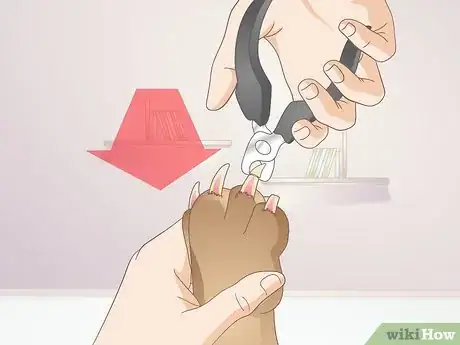 Imagen titulada Avoid the Quick when Trimming Your Dog's Nails Step 8