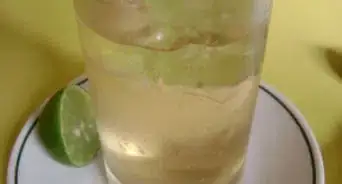 hacer un pisco tonic