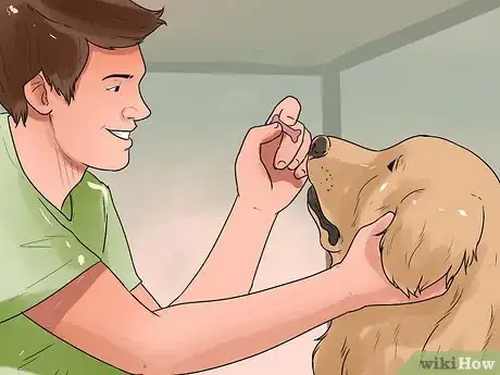 Imagen titulada Give Your Dog Eye Drops Step 12