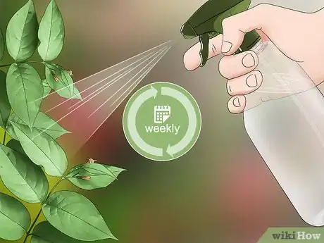 Imagen titulada Kill Mealybugs Step 5