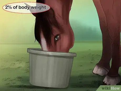 Imagen titulada Feed Your Horse Alfalfa Cubes Step 9