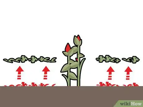 Imagen titulada Kill Grass Invading a Flower Bed Step 7