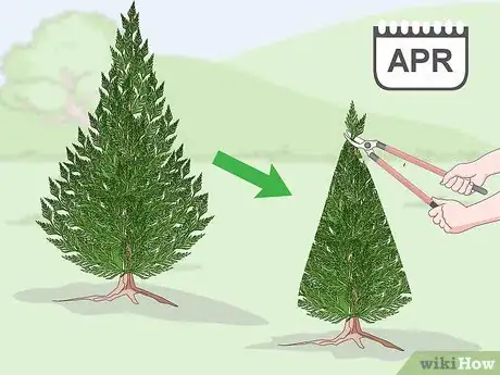 Imagen titulada Prune a Leyland Cypress Step 10