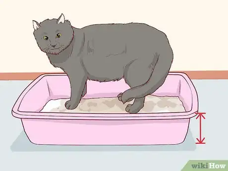 Imagen titulada Get Cat Urine Out of a Mattress Step 17