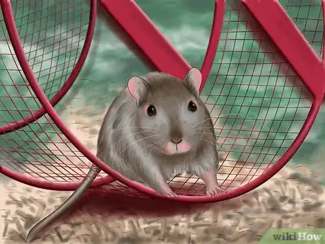 Imagen titulada Make Your Gerbil Happy Step 3