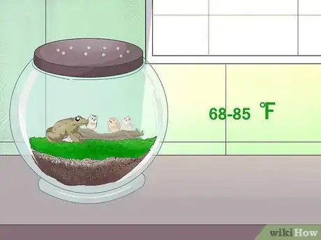 Imagen titulada Make Moss Terrariums Step 19