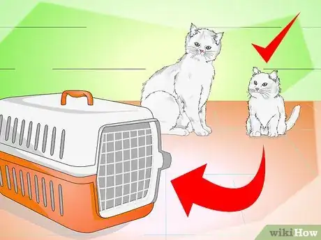 Imagen titulada Get a Cat Into a Pet Carrier Step 1