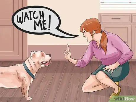 Imagen titulada Teach Your Dog to Focus Step 17