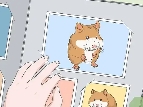 Imagen titulada Deal With Your Hamster Dying Step 11