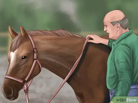 Imagen titulada Teach Your Horse to Lie Down Step 15