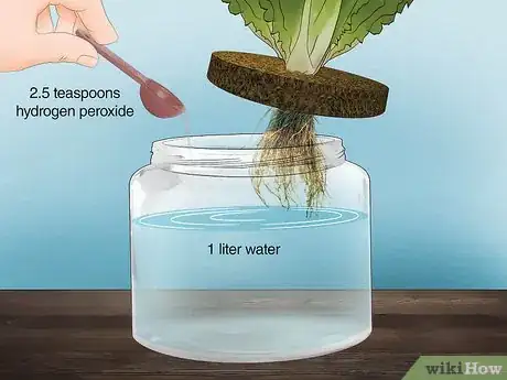 Imagen titulada Use Hydrogen Peroxide in the Garden Step 2