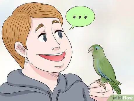 Imagen titulada Know if a Parrotlet Is Right for You Step 3