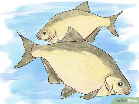 Imagen titulada Fish For Bream Step 1