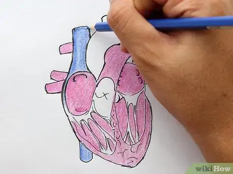 Imagen titulada Draw the Internal Structure of the Heart Step 14