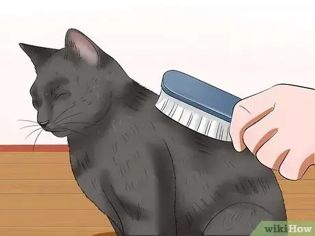 Imagen titulada Bathe Your Cat With a Damp Towel Step 5