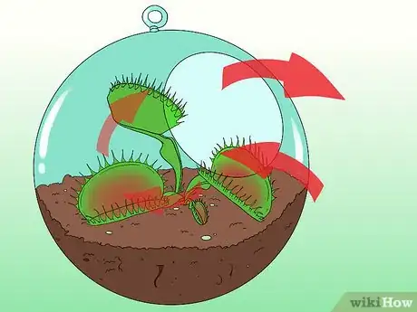 Imagen titulada Care for Venus Fly Traps Step 6