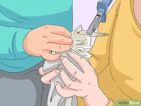 Imagen titulada Treat Injured Cockatiels Step 5