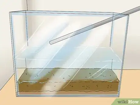 Imagen titulada Build an Acrylic Aquarium Step 11