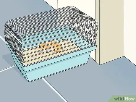 Imagen titulada Prevent and Treat Heat Stress in Hamsters Step 4