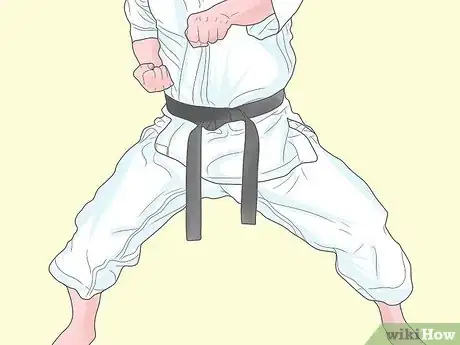 Imagen titulada Do a Karate Punch in Shotokan Step 2