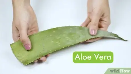Imagen titulada Make Hair Gel Using Aloe Vera Pulp Step 1