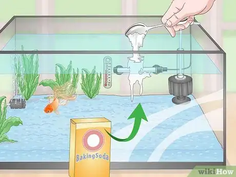 Imagen titulada Keep a Goldfish Happy and Healthy Step 13