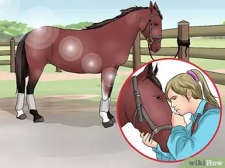 Imagen titulada Pick a Horse Hoof Step 1