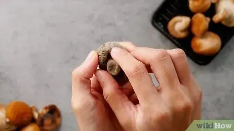 Imagen titulada Clean Shiitake Mushrooms Step 5