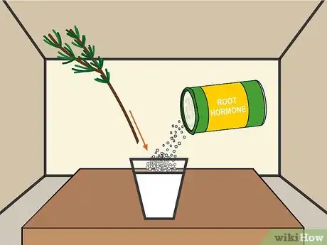 Imagen titulada Grow Cuttings from Established Plants Step 13