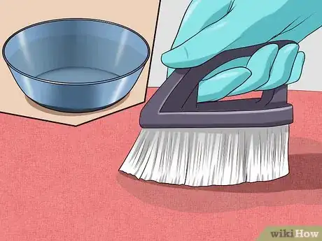 Imagen titulada Remove Cat Urine Smell Step 4