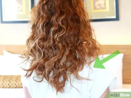 Imagen titulada Style Naturally Curly Hair Step 4