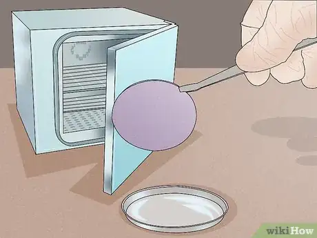 Imagen titulada Measure Bacterial Growth Step 7