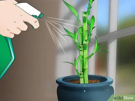 Imagen titulada Care for an Indoor Bamboo Plant Step 14