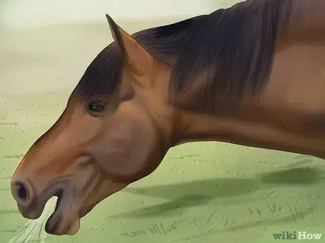 Imagen titulada Understand Horse Communication Step 6