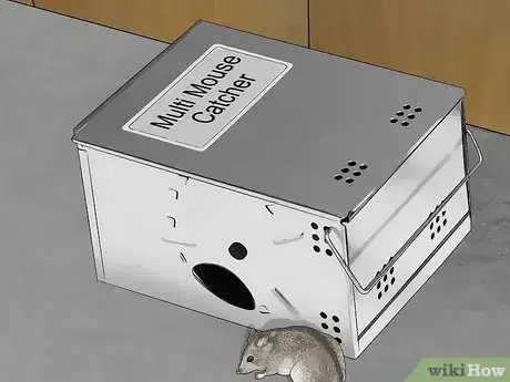 Imagen titulada Get Rid of Mice Fast Step 1