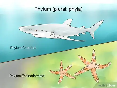 Imagen titulada Classify Animals Step 6